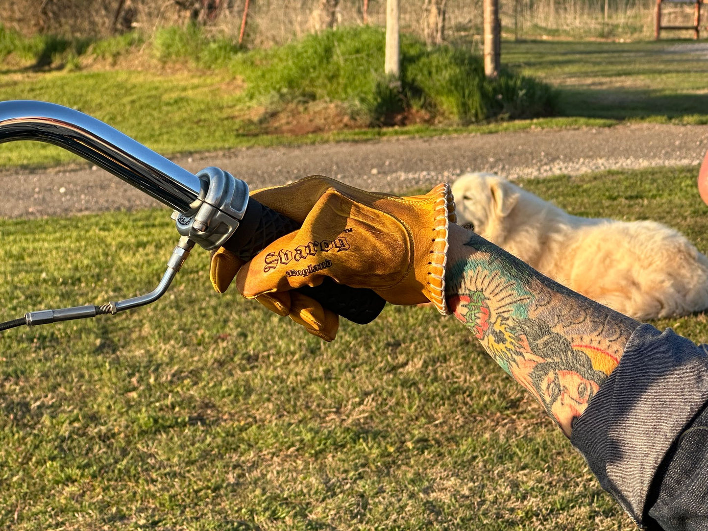 Svarog Shanks Gloves Type 2