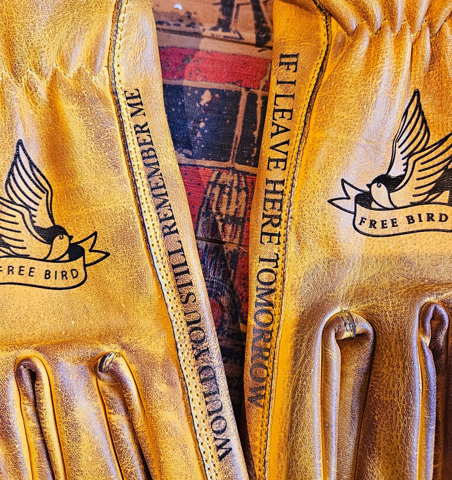 Gloves FREE BIRD